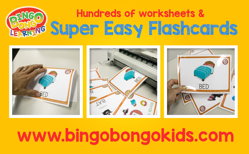 Super Easy Flashcards BINGOBONGO
