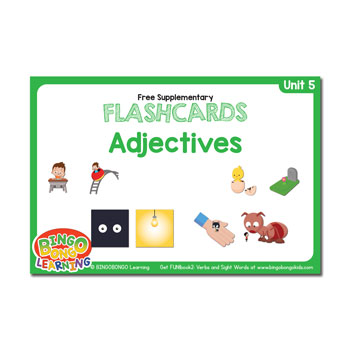 Unit 5 flashcard adjectives