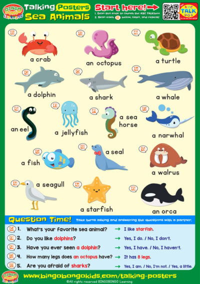 023 talking poster sea animals thumb