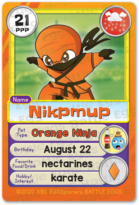 ninja orange 1