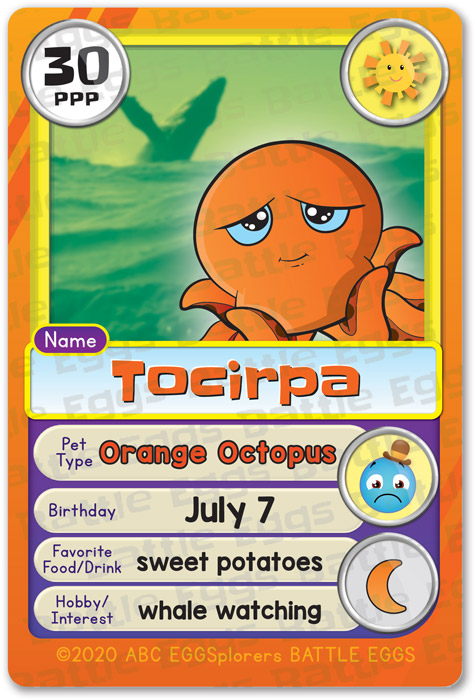 octopus orange 1