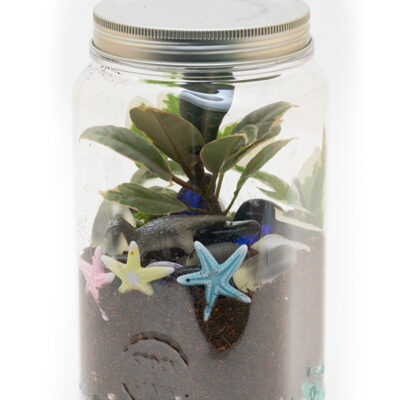 terrarium jar STEAM Craft Kit.jpg